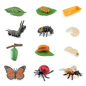 3 Ensembles De 12 Modèles De Cycle De Vie D'Insecte Chacun, Larves De Coccinelle, Cycle De Vie D'Abeille, Jouet D'Insecte Pour Enfants, Coccinelle Pour Enfants, Modèle De Croissance D'Insecte (KE HONG LTD, neuf)