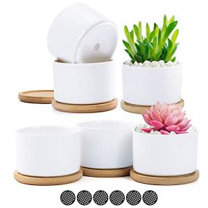 Coolty 6pcs Pot de Succulent en Céramique Blanc Pots de Fleurs Petit Pot Conteneuravec Plateau en Bamboo pour Fleur Plante Herbe Cadeau pour Mariage Noel Anniversaire (Boarimm, neuf)