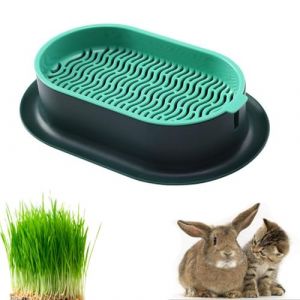 Armastuse Plateau pour Herbe à Chat, Herbe à Chat Boîte, Bac Herbe à Chat, Herbe à Chat Boîte en Plastique, pour La Culture en Intérieur Et en Extérieur (Defang Fan, neuf)
