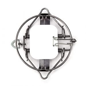 Pi&egrave;Ge &agrave; Souris Pi&egrave;Ge De Chasse Pi&egrave;Ge &agrave; Ressort Pi&egrave;Ge &agrave; Taupe Pi&egrave;Ge &agrave; Rat Lapin Renard &eacute;Cureuil Outil De Lutte Contre Les Nuisibles 1pcs (15cm) (jianquanbaihuo, neuf)