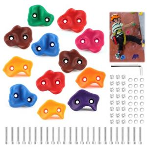 Shyllin Prise d'escalade pour Enfant, 12 Pi&egrave;ces Prises Escalade Enfant, Pierres d'escalade Multicolores, Pierres &agrave; Grimper Enfants Outdoor, pour Tour de Jeu et Mur d'escalade, avec Vis de Fixation (XFJIN243, neuf)