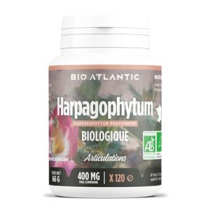 Harpagophytum Bio - Harpagophytum procumbens - ARTICULATIONS - 400 mg - Griffes du Diable - 120 Comprim&eacute;s (123PLANTES, neuf)