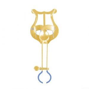 HEBEOT Lyre de défilé pour trompette - Lyre de fanfare à pince pour partition - 14,7 x 2,3 x 4,6 cm (doré) (Grtshopper, neuf)