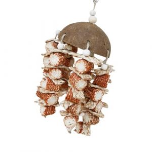 Jouets à mâcher en épi de maïs pour oiseaux, jouets pour oiseaux en coquille de noix de coco - Jouets à mâcher pour oiseaux en épi de maïs en coquille de noix de coco naturelle - Jouets à mâcher d’ois (feretazm, neuf)