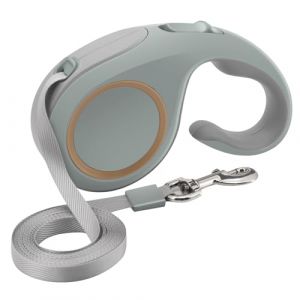 Beowanzk Laisse extensible pour chien avec verrouillage de pause, frein &agrave; une main, pause, verrouillage (gris) 5 m (Beowanzk-EU, neuf)