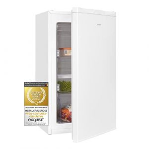 Exquisit GS111-330E weissPV - Cong&eacute;lateur petit volume 63 l - Cong&eacute;lateur 4 &eacute;toiles - Petit cong&eacute;lateur - Largeur 45 cm (ARDEBO, neuf)