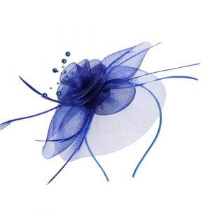 Bibi r&eacute;tro en tulle pour douche nuptiale - Pince &agrave; cheveux artisanale - Bandeau &agrave; plumes pour f&ecirc;te de th&eacute; - &Eacute;v&eacute;nement - Bibi pour femme (guangzhouzhifangkejiyouxiangongsi, neuf)