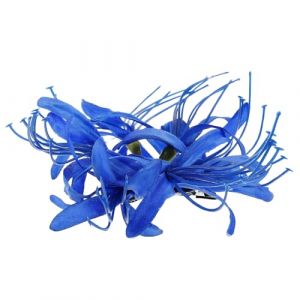 BAZEITFLOW Pince &agrave; Cheveux Grosse Taille pour Cheveux &Eacute;pais Accessoire Femme Fleur D&eacute;corative Pince Griffe R&eacute;sistante en Tissu et Plastique Coiffure Quotidienne et C&eacute;r&eacute;monie (KINING, neuf)