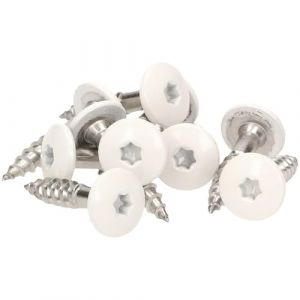 Meisterling® Lot de 100 vis de façade en acier inoxydable V4a Inox, avec tête plate colorée thermolaquée et empreinte Torx T 20 + 1 embout, blanc, blanc (fun-preis, neuf)