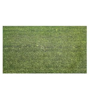 Markotex Paillasson coco fibre naturelle et en caoutchouc recycl&eacute; (33 x 60, 33 x 70,40 x 70, 40 x 80, 40 x 90, 50 x 100, 60 x 120, 70 x 140) (vert uni, 50 x 100) (Carpet's Mania, neuf)