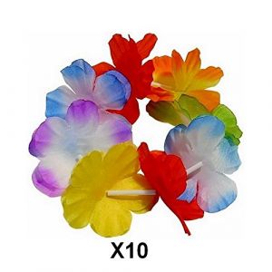 Compatible avec 10 bracelet à fleur multicolore hawaïen Hawaï (LP-Divertissements, neuf)