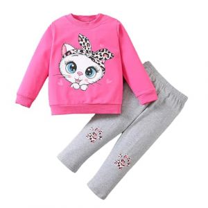 Vetement Fille Hiver Pas Cher Mode Jogging Fille 1-6 Ans Ensemble Fille 2 Pièces Survetement Enfant Casual Tenu Habit Fille Sport Pull Enfant Fille Manche Longue Sweat + Pantalon (3-4 ans, Rose-2) (SoLu DAY8, neuf)