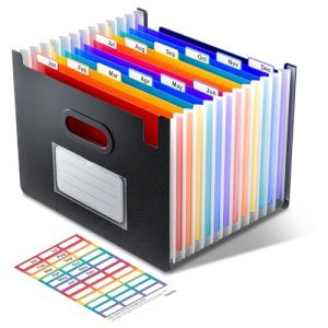 ThinkTex Trieur Document, 12 Pochettes Extensible, Vertical et Ouvert Sur le Dessus, Rangement Papier Administratif, Organiseur Portable de Factures Mensuelles, Onglets Colorés, Format Lettre/A4 (ThinkTex EU, neuf)