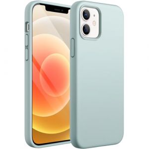 JETech Coque Silicone pour iPhone 12/12 Pro 6,1 Pouces, Protection Complète du Corps au Toucher Soyeux, Étui Housse Anti-Chocs Doublure Douce en Tissu Microfibre (Bleu Cactus) (MuXiaoJun Store, neuf)