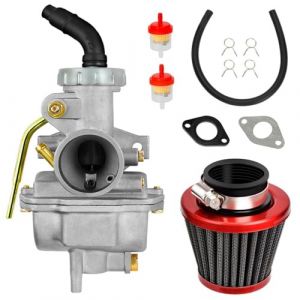 Kit de carburateur BenTsD compatible avec PZ20 Compatible avec TaoTao Coolster 125cc 110cc 50cc ATV Quad 4 roues pour enfants chinois Baja Sunl Vitacci Moteur 4 temps Pièces de kart (BenTsD, neuf)