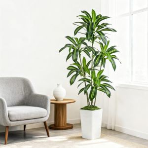 Plante Artificielle Dracaena Int&eacute;rieur 180cm Arbre Artificiel Dracaena Faux Arbre en Soie avec Jardini&egrave;re Blanche Faux Tropical Yucca Floor Plant pour Bureau &agrave; Domicile D&eacute;corati (1, Blanc, 180CM) (FSOHOI EU, neuf)