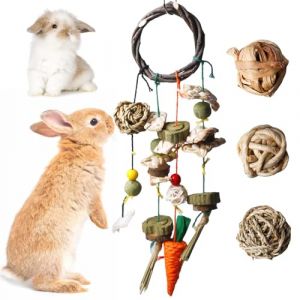 BAIFULAI Jouet à mâcher pour lapin, accessoires avec herbe d'eau, corde de maïs, herbe de citrouille, boules à mâcher, petits animaux, soins dentaires pour hamster, cochon d'Inde, perroquet (BSS STRONG MARK S.R.L., neuf)