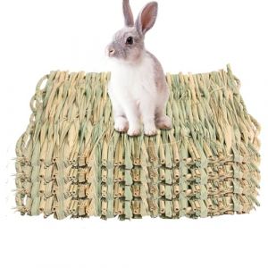 FVPKYUR 4 Pièces Tapis De Paille Pour Animaux De Compagnie, 22x26.5cm Paille Et Cosse De Maïs Tapis De Foin De Lapin, Lit Tissé Pour Lapins, Lapin Jouets Petit Animal Literie À La Main (fiewand, neuf)