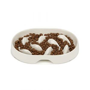 PETTOM Gamelle Anti Glouton Chat, Bol R&eacute;gime Chat Alimentation Lente, Plat Assiette Chaton avec Base Antid&eacute;rapante, Oval, Blanc (kaka Mall, neuf)