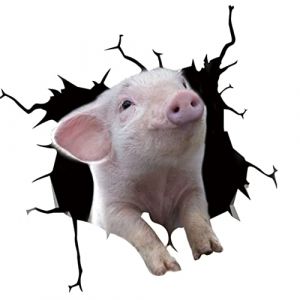 Surakey 4 Pi&egrave;ces Autocollants de Voiture de Cochon 3D,PVC Auto-Adh&eacute;sif Vinyle Autocollant Cochon Stickers Auto Moto Voiture Fen&ecirc;tre Porte,Autocollants Stickers pour Voiture (Surakey, neuf)
