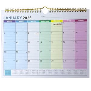 VIDSTW Calendrier 2026 2027 30 x 22 CM Calendrier Familial 2026 2027 Carton &Eacute;pais Planning Familial Motif Couleur 7 jours pour Maison Bureau l'&eacute;cole l'h&ocirc;tel (Utilisable Janvier 2026 &agrave; Juillet 2027) (BAIYIKEJI, neuf)