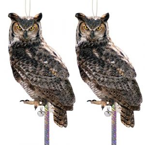 Kungfu Mall Effaroucheur Pigeons Anti Pigeon Balcon, Effaroucheur Oiseaux Repulsif Pigeon, Corbeau Anti-Pigeon Repulsif Oiseaux Exterieur, Epouvantail Oiseaux Jardin, 2 Pi&egrave;ces Hibou Photo Carton (HappinessFlag, neuf)