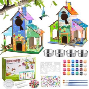 2 Pack DIY Mangeoires à oiseaux, kit de bricolage pour enfants, nichoir en bois,DIY Arts mangeoires pour oiseaux sauvages pour enfants, jardin,garçons et filles en plein air, 3-5, 4-8 ans, 8-12 ans (SJK-EU, neuf)