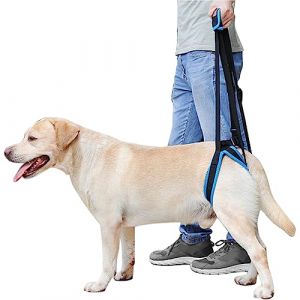 MIGHTYDUTY Harnais pour Chien Handicapé Pattes Arriere Réglable Fournit Un Support Harnais de Levage Chien Aide Les Chiens âgés, Blessés ou Handicapés S (MIGHTYDUTY FR, neuf)