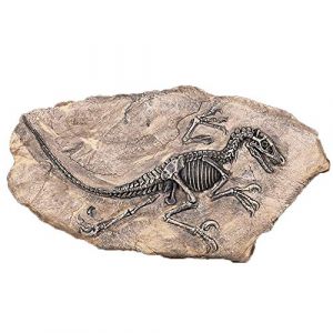 VOANZO Statue de fossile de dinosaure en résine - Modèle de squelette simulé - Décoration pour la maison ou le bureau (VOANZO EU, neuf)