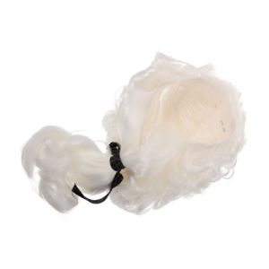 Gatuida Perruque de Juge Fibres Synthétiques pour Cosplay Accessoire de Costume de Performance pour Déguisements Fêtes à Thème (Brandon Zou, neuf)
