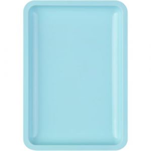 Plateau multi-usage en acier inoxydable pour soins et brossage des ongles Plateau de stockage élégant Plateau à dents Faux ongles Support d'outils d'art des ongles (YiQiN, neuf)