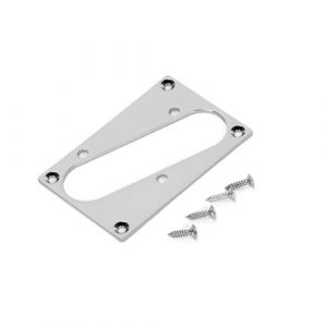 Ruimou 1Pcs Argent Cadre De Montage De l'anneau De Ramassage Du Pont De Guitare (avec vis de montage) 77x50mm Adapt&eacute; Aux Guitares Telecaster Tele (dongguangshiruimouguojimaoyiyouxiangongsi, neuf)