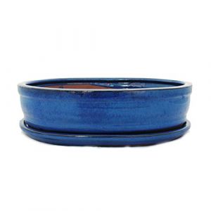 Bonsaï Bol avec sous assiette Taille 5 – Bleu – Ovale – Modèle o7 – L 31 cm – B 24 cm – H 7,5 cm (Exotenherz, neuf)