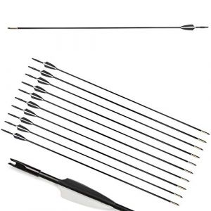 ZSHJG 12pcs Flèches en Fibre de Verre 31 Pouces Flèches d'entraînement de Cible Spine 900 Flèches de Chasse avec Flèche Carquois pour 35 Lbs Arc Recourbé Arc Long (Noir) (Traveling Shop, neuf)