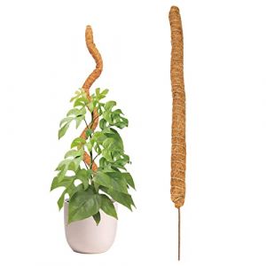 Baogao 80cm Tuteurs en Coco Monstera, Bâton Culture Extensible Naturel, Support Tuteur Plante Grimpante Intérieur pour Monstera Maison Jardin (Manolyee, neuf)