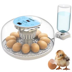 M12 Couveuse Oeuf Automatique | Contrôle Humidité, Réglage Température, Couveuse Automatique 12/24 œufs - Retournement Auto Oeufs, Vue 360°, facile à utiliser et nettoyer - Incubateur Oeuf Automatique (KLIM Technologies France, neuf)