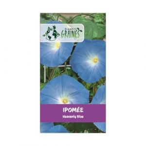 100 graines de ipomée bleu - plante grimpante - liseron - morning glory (Planète Graines, neuf)