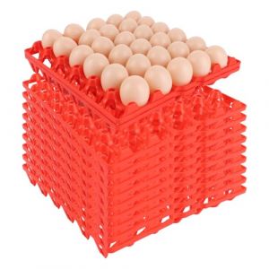 ZOFUN Lot de 10 bo&icirc;tes &agrave; &oelig;ufs en plastique pour 30 &oelig;ufs - Distributeur d'&oelig;ufs pour r&eacute;frig&eacute;rateur (ZOFUN, neuf)