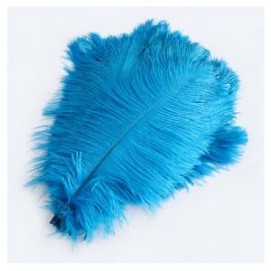 Lot de 10 plumes d'autruche color&eacute;es 20-25 cm Plume naturelle pour bricolage D&eacute;coration DIY Plumes d'autruche pour maison, mariage, f&ecirc;te, table, table &agrave; manger, carnaval, attrape-r&ecirc;ves, d&eacute;coration (Wancong, neuf)