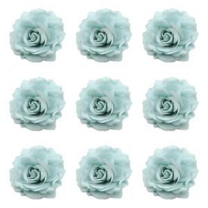 9PCS Barrette Fleur Pince &agrave; Cheveux, Roses Bleu Fleur Accessoires de Cheveux, &eacute;pingle &agrave; Cheveux Mariage, Pince Fleur Rouge Cheveux, Fleur Clip pour Filles Femmes Enfants F&ecirc;te Plage Mariage (Surakey, neuf)