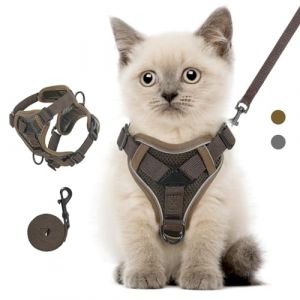 VavoPaw Ensemble Harnais et Laisse pour Chat Anti-évasion, Harnais Ajustable pour Chaton avec Bande Réfléchissante, Filet Respirant, Gilet de Sécurité Souple pour Chat, Chaton, Chiot, XS, Café (Shenzhenshi xingyunda maoyiyouxiangongsi, neuf)