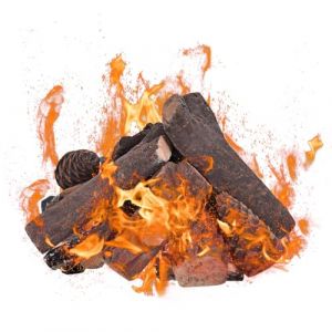 COSTWAY Lot de 9 Pièces en Bois Céramique Décoratif pour Cheminées au Bioéthanol et au Gaz, Fausses Bûches Réalistes pour Foyer Extérieur, Bûches de Différentes Tailles (FDS GmbH, neuf)