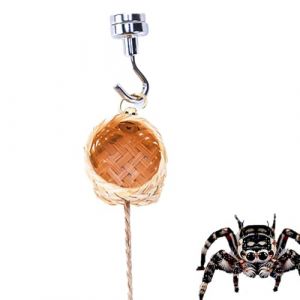 Cachette D’Araignée Sauteuse – Refuge Reptile Aimanté, Cache Boîte Terrarium | Habitat Naturel Mini Bête, Accessoire Décoratif Enclos Maison, Reptile Cage Abri Animaux Exotiques Intérieur Extérieur (joduom, neuf)