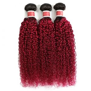 FUIBEJAE Cheveux Humains 3 Paquets 7A Rideau de Cheveux D&eacute;grad&eacute;s Cheveux Br&eacute;siliens Vierge Remy Non Transform&eacute;s Extensions de Cheveux Tissage Rapide pour Femmes Noires (#1B-BURG),8 8 8inch (SHUOCHENGUK, neuf)