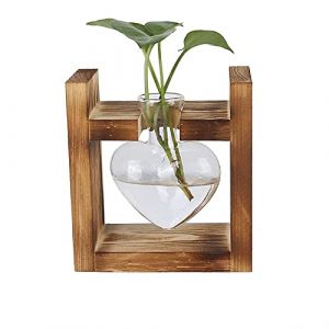 Tomotato Stations de Propagation de Plantes avec Support en Bois, Vase en Verre à Fleurs Vintage Coeur, Vase de Table Transparent en Forme de Cœur pour Plantes Hydroponiques(Un) (Hairolory, neuf)