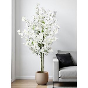 Arnusa Plante Artificielle Cerisier en Fleurs, Cerisier, Plante Artificielle, Arbre Artificiel, Fleur de Cerisier, Plante d'int&eacute;rieur (Blanc, 160 cm) (Arnusa-Shop, neuf)