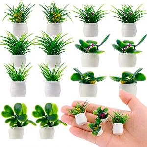 Cobee Ensemble de 14 Plantes Miniatures pour Maison de Poupée, Bonsaï 1:12, Mini Plantes en Pot, Modèle de Fleur, Ornement de Verdure pour Jardin Féérique, Accessoires de Décoration (Chaiyuan, neuf)