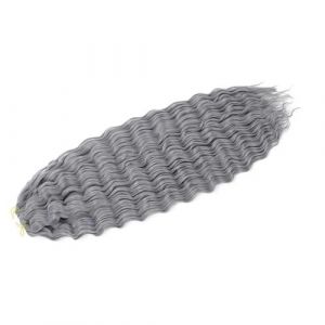 WBLSPA Crochet Cheveux Afro Culs Profond Synthétique Afro Boucles Crochet Tresse Ombre Tressage Extensions de Cheveux pour Femmes-Gris-30 pouces-75 cm-10 pièces/lot (guangzhouliyeshangmaoyouxiangongsi 85244, neuf)