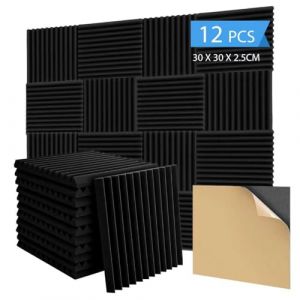 Anluomania Lot de 12 Panneaux de Mousse Acoustique, Panneau Acoustique 30 x 30 x 2.5 cm, Mousse Anti-bruit Panneaux Acoustiques Ignifuges Autocollante pour Studios D'enregistrement, Bureaux, Studios (IGALA MARKET S.R.L., neuf)