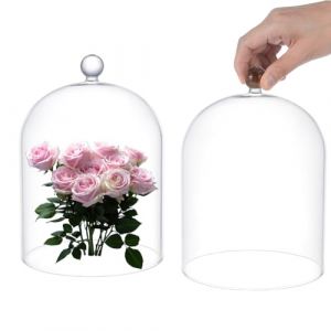 UNICRAFTALE Cloche en Verre Transparent Dôme en Verre Objets de Collection Antiques Dôme Vitrine Cloche Décorative avec Poignée en Boule pour Plantes Lumineuses Décoration de Table Médaille Photos (ENBISI EU, neuf)